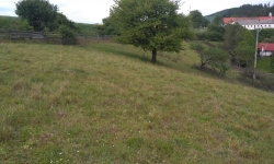 Suché trávníky v údolí Vápovky (JH)